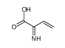 2-iminobut-3-enoic acid Structure