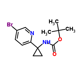 828911-20-2 structure