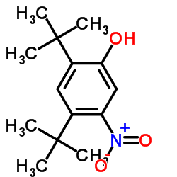 2,4-二叔丁基-5-硝基苯星空app结构式