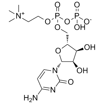 胞磷胆碱图片