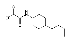 N-(4-butylcyclohexyl)-2,2-dichloroacetamide Structure