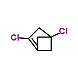 Bicyclo[2.1.1]hex-1-ene, 2,4-dichloro- (9CI) picture