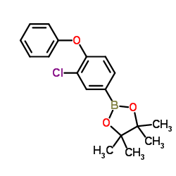 2-(3-Chloro-4-phenoxyphenyl)-4,4,5,5-tetramethyl-1,3,2-dioxaborolane图片