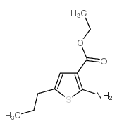 ethyl 2-amino-5-propylthiophene-3-carboxylate picture