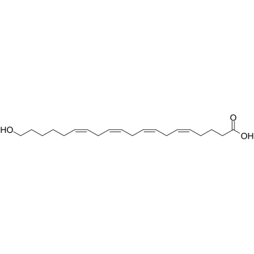 20-HETE Structure