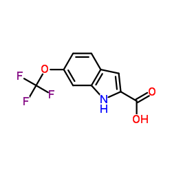 923259-70-5 structure