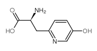 beta-(5-hydroxy-2-pyridyl)alanine Structure