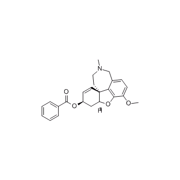 MGB-BP-3 structure