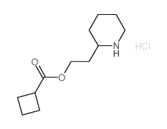 2-(2-Piperidinyl)ethyl cyclobutanecarboxylate hydrochloride Structure