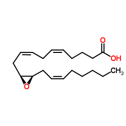 (11S,12R)-EET picture