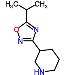 5-Isopropyl-3-(piperidin-3-yl)-1,2,4-oxadiazole structure