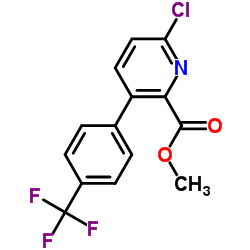 1261598-96-2 structure