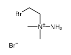 N,N-DIMETHYL-(2-BROMOETHYL)HYDRAZINIUMBROMIDE structure