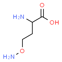 DL-Carnitine structure