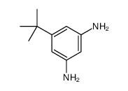 3,5-DIAMINO-TERT-BUTYLBENZENE picture