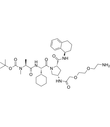 A 410099.1 amide-PEG2-amine-Boc图片