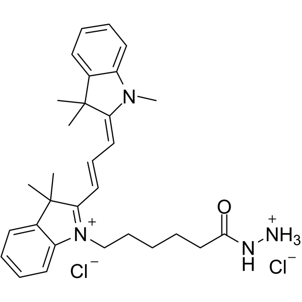 Cyanine3 hydrazide dichloride Structure