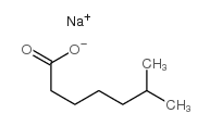 6-METHYL-HEPTANOATE picture