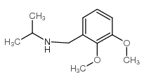 N-[(2,3-dimethoxyphenyl)methyl]propan-2-amine structure