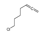 7-chlorohepta-1,2-diene结构式