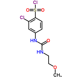 2-CHLORO-4-[3-(2-METHOXY-ETHYL)-UREIDO]-BENZENESULFONYL CHLORIDE picture