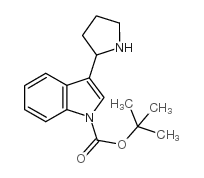 3-吡咯烷-2-吲哚-1-羧酸叔丁酯图片