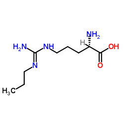 N-ω-丙基-L-精氨酸结构式