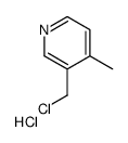 3-(Chloromethyl)-4-methylpyridine hydrochloride structure