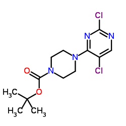 tert-butyl 4-(2,5-dichloropyrimidin-4-yl)piperazine-1-carboxylate picture