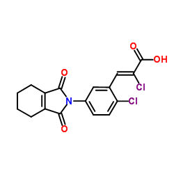 175156-71-5 structure