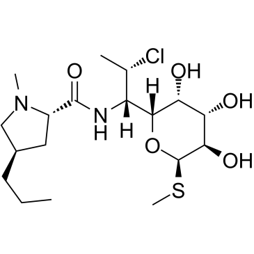 克林霉素图片