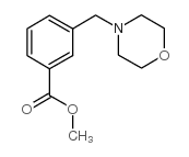 METHYL 3-(MORPHOLINOMETHYL)BENZOATE Structure