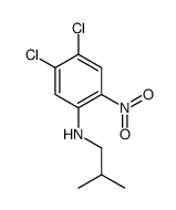 4,5-dichloro-N-(2-methylpropyl)-2-nitroaniline结构式