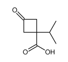 Cyclobutanecarboxylic acid, 1-(1-methylethyl)-3-oxo- (9CI) picture