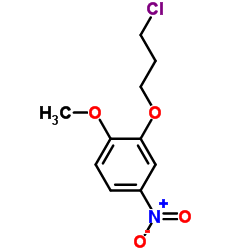 2-(3-Chloropropoxy)-1-methoxy-4-nitrobenzene picture