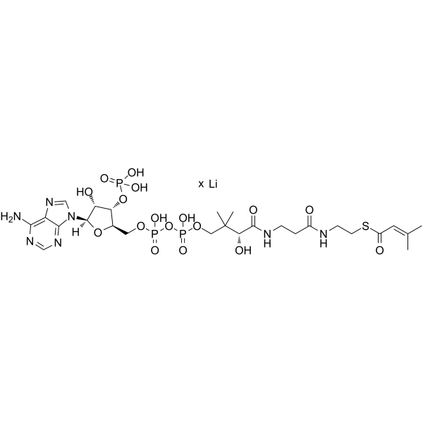 β-Methylcrotonyl coenzyme A lithium structure