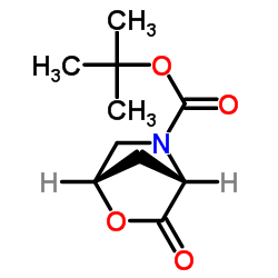 (1S,4S)-3-氧代-2-氧杂-5-氮杂双环[2.2.1]庚烷-5-甲酸叔丁酯图片