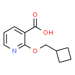 2-(Cyclobutylmethoxy)pyridine-3-carboxylic acid Structure