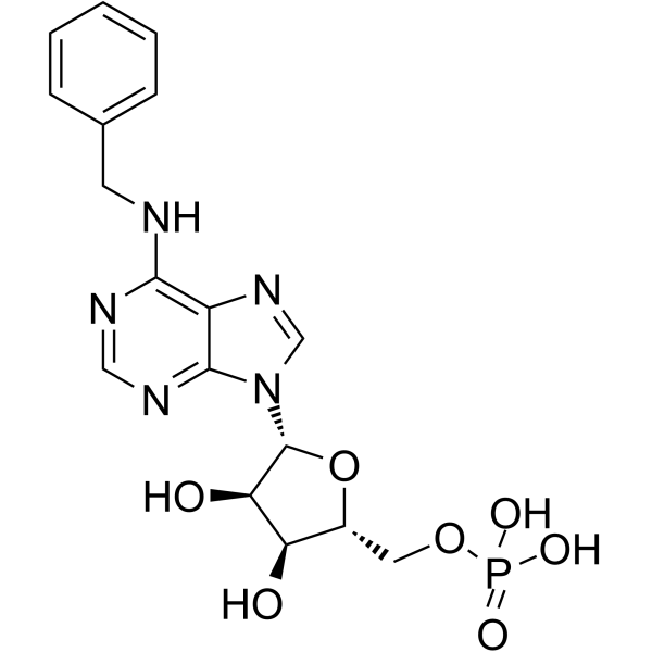 Benzyl-amp structure