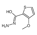 3-methoxythiophene-2-carbohydrazide Structure