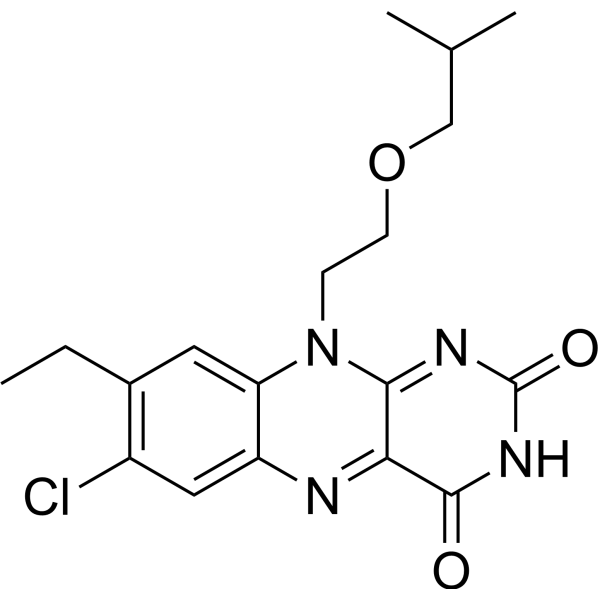 JG-2016 Structure