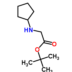 Tert-butylcyclopentylglycinate Structure