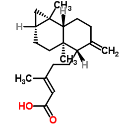 Metasequoic acid A picture