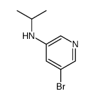 5-溴-n-异丙基吡啶-3-胺结构式