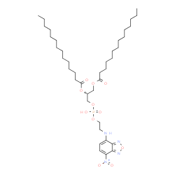 1,2-Dimyristoyl-sn-glycero-3-phosphoethanolamine, 7-nitrobenzofurazan-labeled Structure