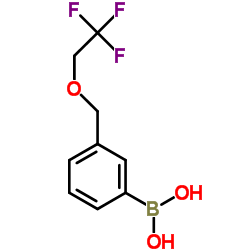 (3-((2,2,2-trifluoroethoxy)methyl)phenyl)boronic acid structure