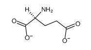 L-glutamate Structure