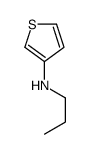 N-propylthiophen-3-amine Structure