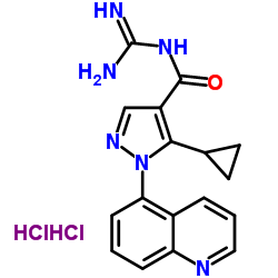 Zoniporide hydrochloride picture