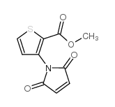 METHYL 3-(2,5-DIOXO-2,5-DIHYDRO-1H-PYRROL-1-YL)THIOPHENE- 2-CARBOXYLATE Structure